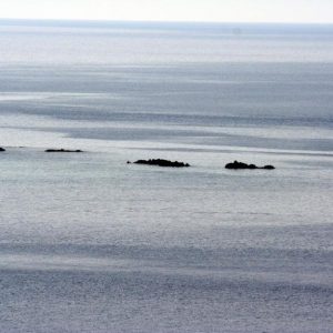 Le Formiche