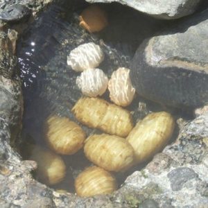 Baia di Sorgeto