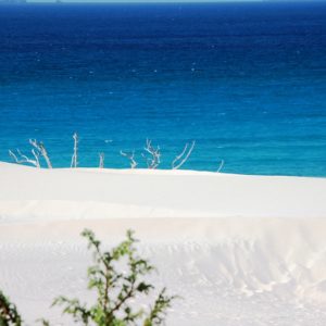 Dune Bianche di Porto Pino