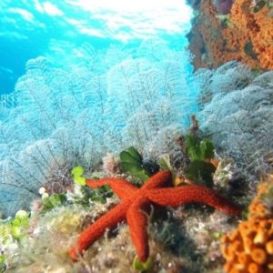 Arcipelago di La Maddalena