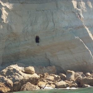 Tonnara di S. Irene