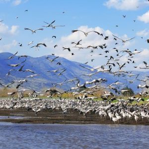 Delta del Fiume Evros