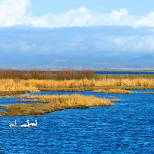 Delta del Fiume Evros