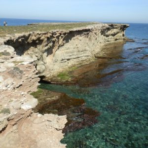 Riserva Marina dell’Isla de Alboran