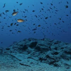 Riserva Marina sulla Costa Nord di Minorca